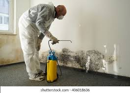 Best Asbestos and Lead Testing During Mold Inspection in USA